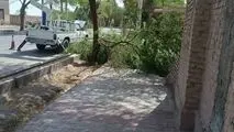 اقدامات جهادی برق شهداد برای ارتقاء ایمنی و پایداری شبکه؛ جابجایی تیرهای پرخطر اندوجرد و شاخه‌زنی با مشارکت شهرداری