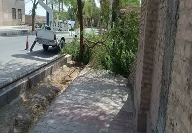 اقدامات جهادی برق شهداد برای ارتقاء ایمنی و پایداری شبکه؛ جابجایی تیرهای پرخطر اندوجرد و شاخه‌زنی با مشارکت شهرداری