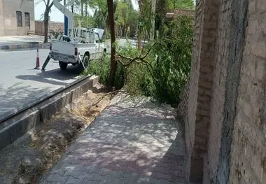 اقدامات جهادی برق شهداد برای ارتقاء ایمنی و پایداری شبکه؛ جابجایی تیرهای پرخطر اندوجرد و شاخه‌زنی با مشارکت شهرداری