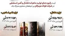 اراده پولادین؛ افتخار آهنین در فولاد هرمزگان

