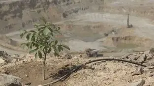 مسیر سبز مس ایران برای تأمین پایدار انرژی