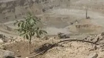 مسیر سبز مس ایران برای تأمین پایدار انرژی