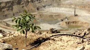 مسیر سبز مس ایران برای تأمین پایدار انرژی