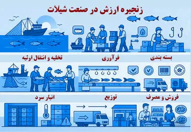 زنجیره ارزش در صنعت شیلات