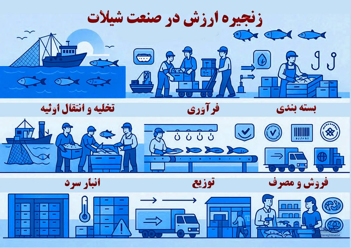 زنجیره ارزش در صنعت شیلات