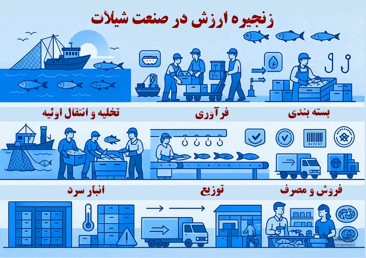زنجیره ارزش در صنعت شیلات