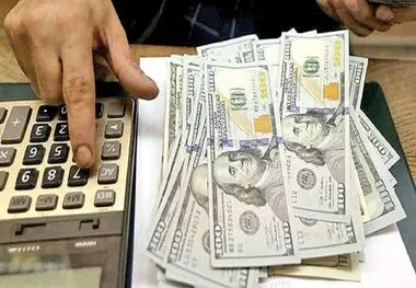گودرزی: موضوع قیمت ارز در جلسه شورای اقتصادی سران قوا پیگیری می‌شود

