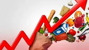 جهان اقتصاد بررسی می‌کند؛
افزایش ۴۵.۵ درصدی شاخص تولید؛ کشاورزی در صدر گرانی‌ها
