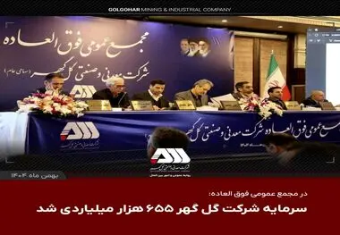 با تصویب سهام داران در مجمع عمومی فوق‌العاده

 سرمایه شرکت گل گهر  ۶۵۵ هزار میلیاردی شد