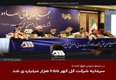 با تصویب سهام داران در مجمع عمومی فوق‌العاده

 سرمایه شرکت گل گهر  ۶۵۵ هزار میلیاردی شد