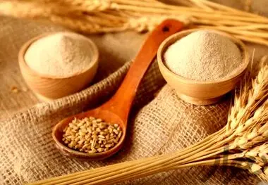 واردات موقت گندم، تبدیل ظرفیت خالی صنعت آرد به فرصتی پول‌ساز
