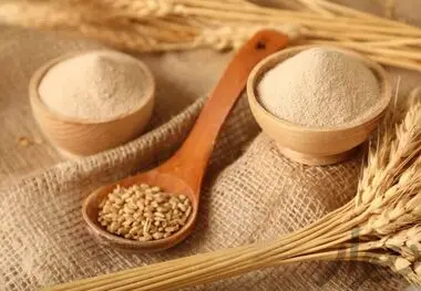 واردات موقت گندم، تبدیل ظرفیت خالی صنعت آرد به فرصتی پول‌ساز
