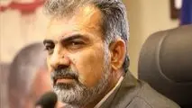 مدیر مجتمع سنگ آهن سیرجان خبر داد: استخراج بیش از ٣۶ میلیون تن سنگ آهن از معادن منطقه گل‌گهر/ رشد ٢٢ درصدی استخراج سنگ آهن

