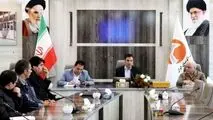 مدیرعامل شرکت آلومینای ایران: بدون توسعه، آینده‌ای برای آلومینا متصور نیست

