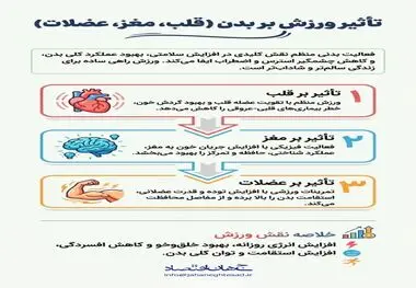 اینفوگرافی