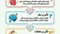 اینفوگرافی