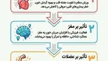 اینفوگرافی