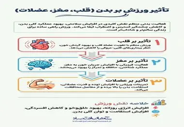 اینفوگرافی
