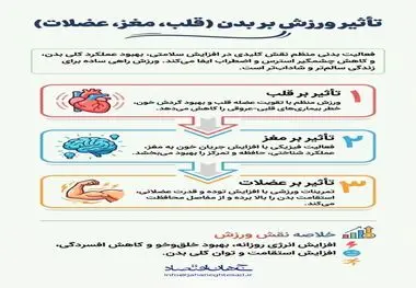 اینفوگرافی