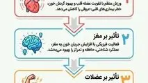 اینفوگرافی