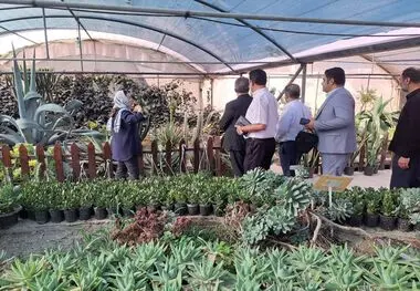 گیاهان نقش مهمی در کیفیت وسلامت محیط جامعه دارند 