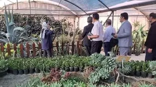 گیاهان نقش مهمی در کیفیت وسلامت محیط جامعه دارند 