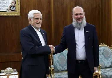 دکتر عارف در دیدار با وزیر تجارت پاکستان:
بازارچه‌های مرزی دو کشور فعال شوند/ دلیلی برای حمله رژیم صهیونیستی به قطر وجود نداشت/ کمال خان: همکاری‌های دو کشور ایران و پاکستان در موضوع امنیت غذایی اهمیت زیادی دارد