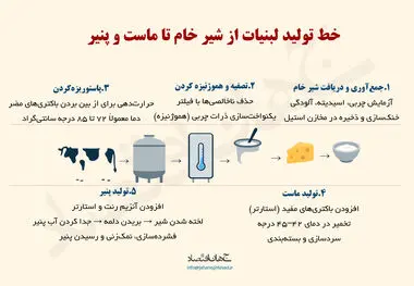 خط تولید لبنیات از شیر خام تا ماست و پنیر