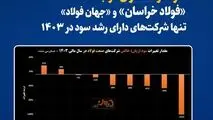 «فولاد خراسان» و «جهان فولاد» تنها شرکت‌‌های دارای رشد سود در ۱۴۰۳