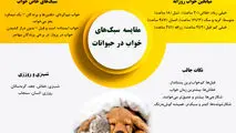 مقایسه سبک خواب در حیوانات 