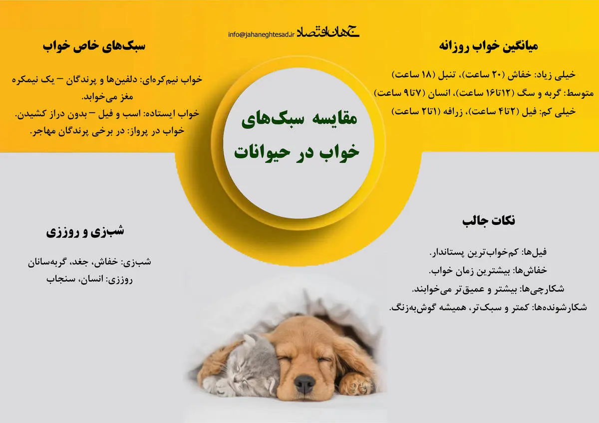 مقایسه سبک خواب در حیوانات 