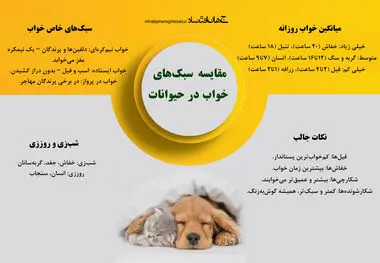 مقایسه سبک خواب در حیوانات 