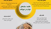 مقایسه سبک خواب در حیوانات 