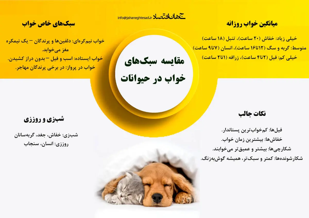 مقایسه سبک خواب در حیوانات 