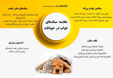 مقایسه سبک خواب در حیوانات 