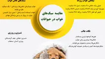 مقایسه سبک خواب در حیوانات 