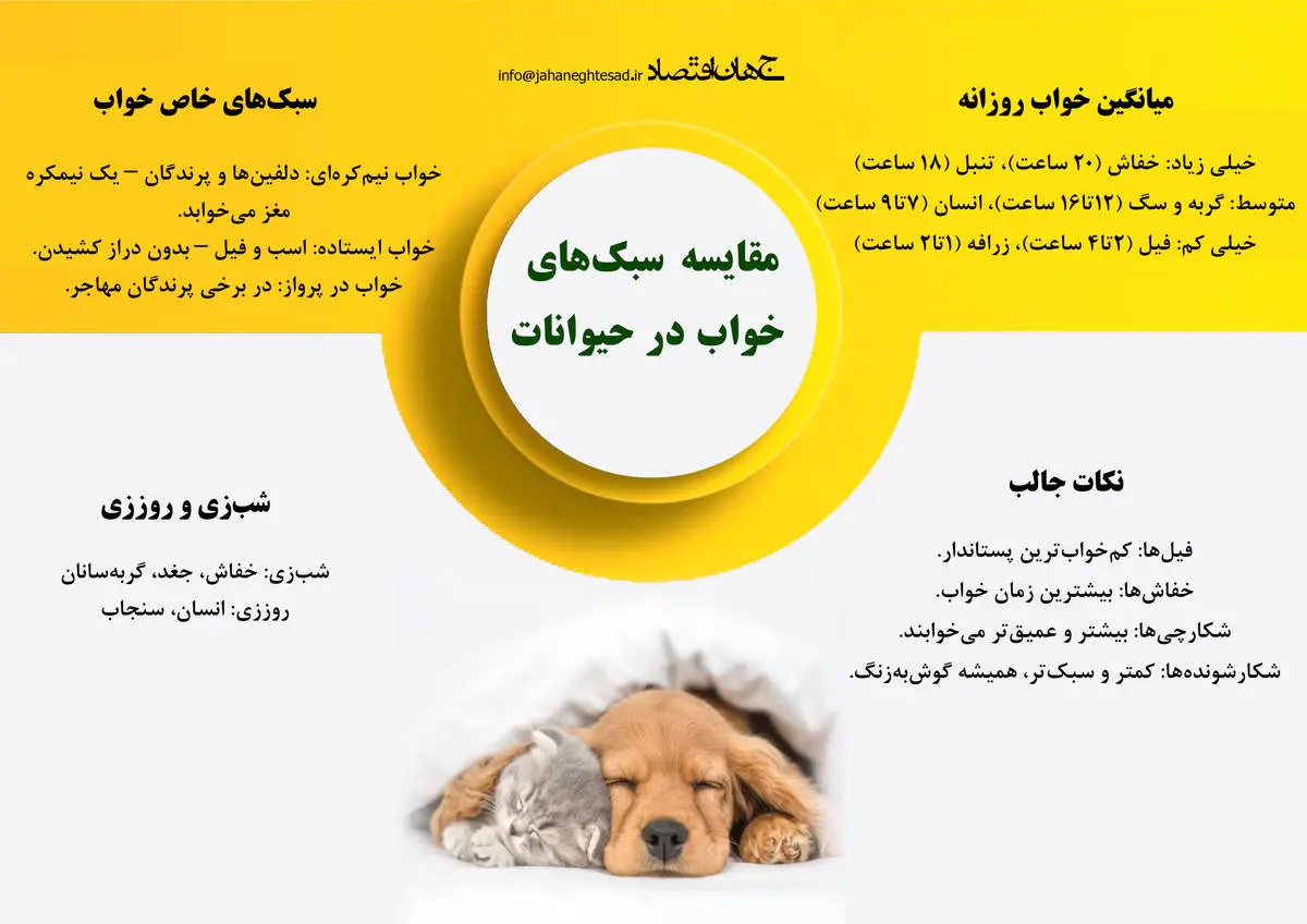 مقایسه سبک خواب در حیوانات 
