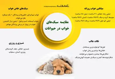 مقایسه سبک خواب در حیوانات 