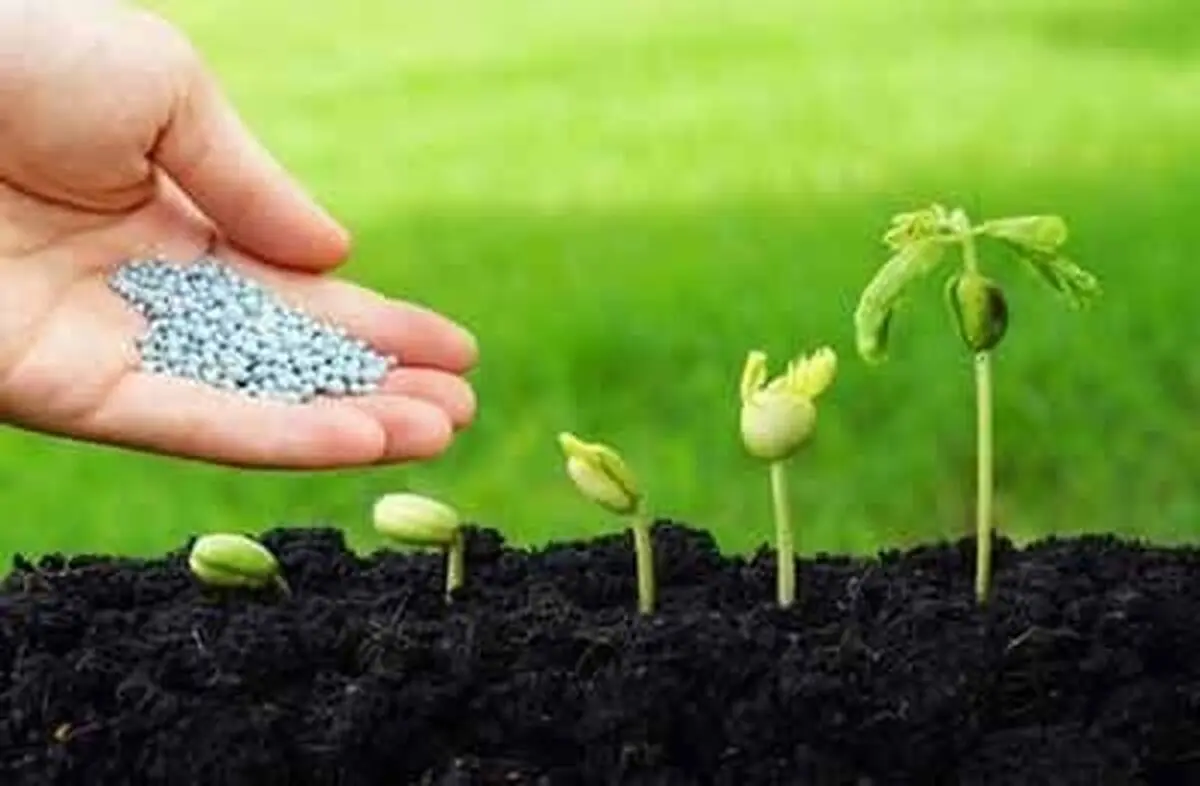 توزیع افزون بر ۴۶ هزار تن کود یارانه‌ای بین کشاورزان استان مرکزی

