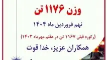 ثبت رکورد روزانه تولید در کارخانه نورد سبک فولاد آلیاژی ایران