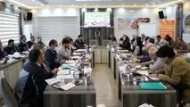 برگزاری جلسه شورای معاونین و مدیران شرکت آلومینای ایران