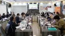 برگزاری جلسه شورای معاونین و مدیران شرکت آلومینای ایران