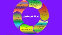 چرخه عمر محصول