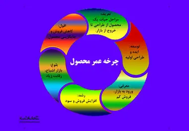چرخه عمر محصول