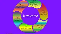 چرخه عمر محصول