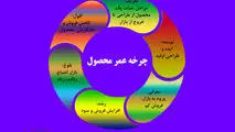 چرخه عمر محصول