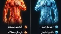 اینفوگرافی