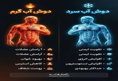 اینفوگرافی