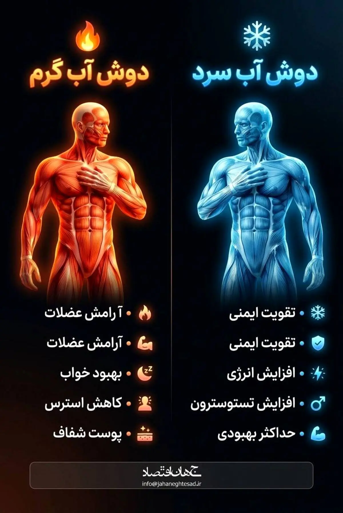 اینفوگرافی