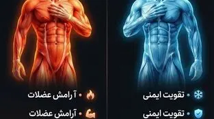 اینفوگرافی